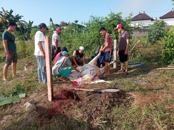 
					Laporan Keuangan Iedul Qurban 1444 H