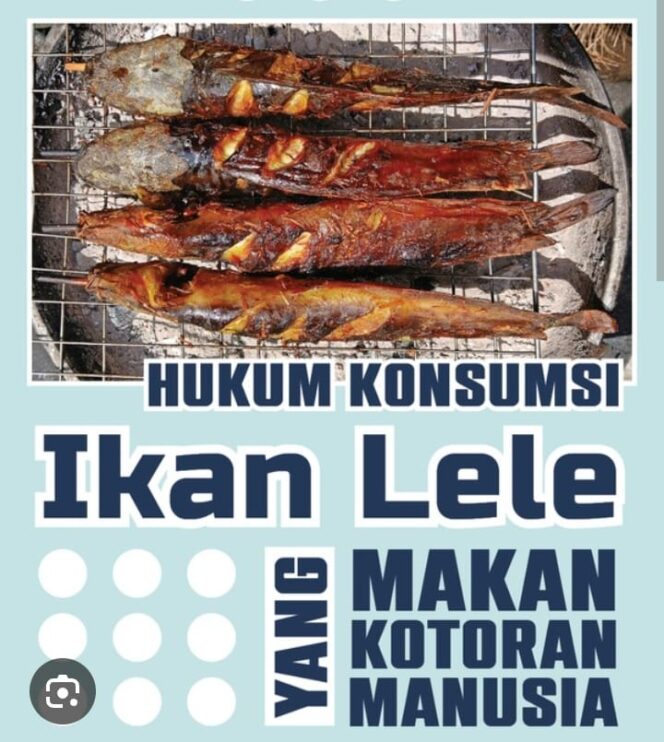 
 Larangan Mengkonsumsi Hewan JALLĀLAH